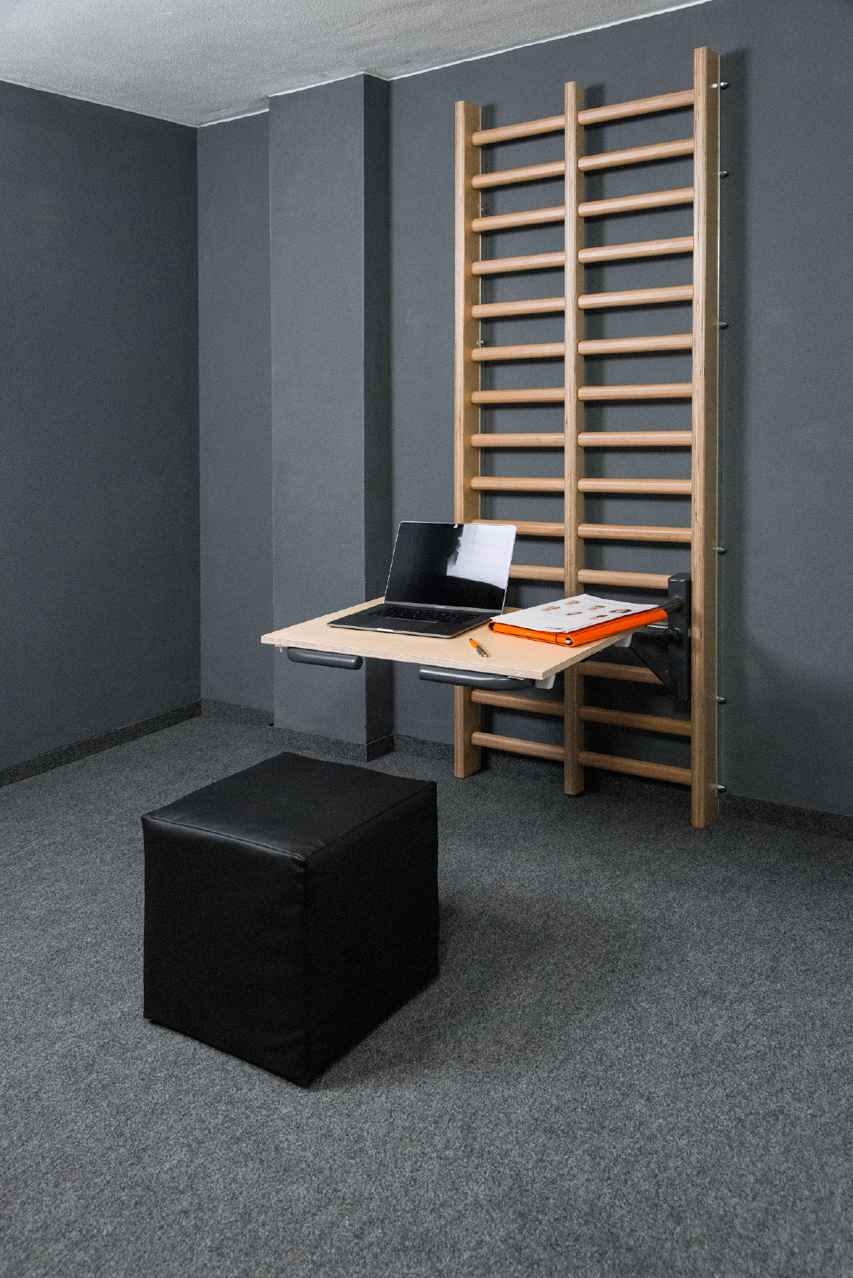 flexotaurus_laptop
