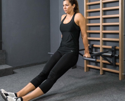 taurus-dips-beine-gestreckt-hg-1