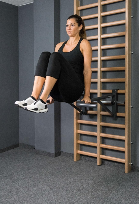 flexotaurus dip stangen