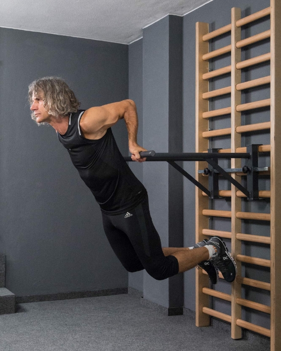 flexotaurus dip stangen