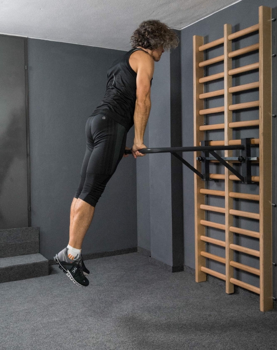 flexotaurus klimmzugstangen