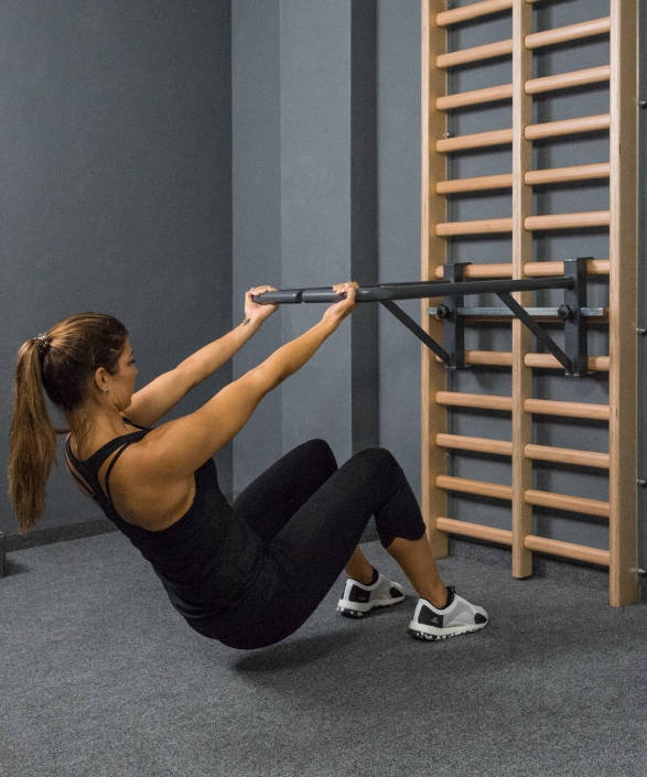 flexotaurus klimmzugbügel