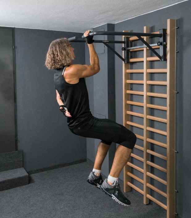 flexotaurus klimmzugbügel