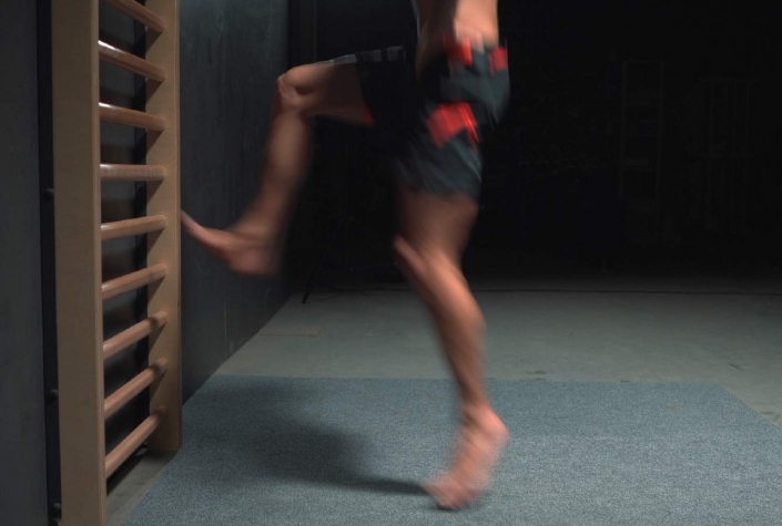 flexotaurus sprossenwand die stärkste sprossenwand der welt