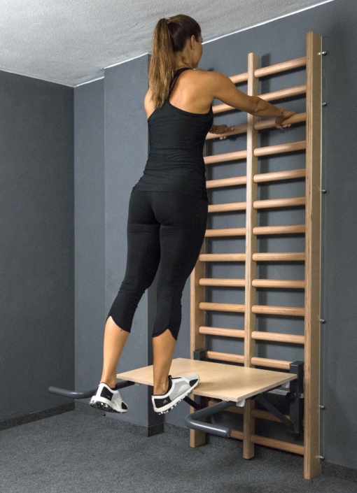 flexotaurus aerobic step flexotaurus aerobic step