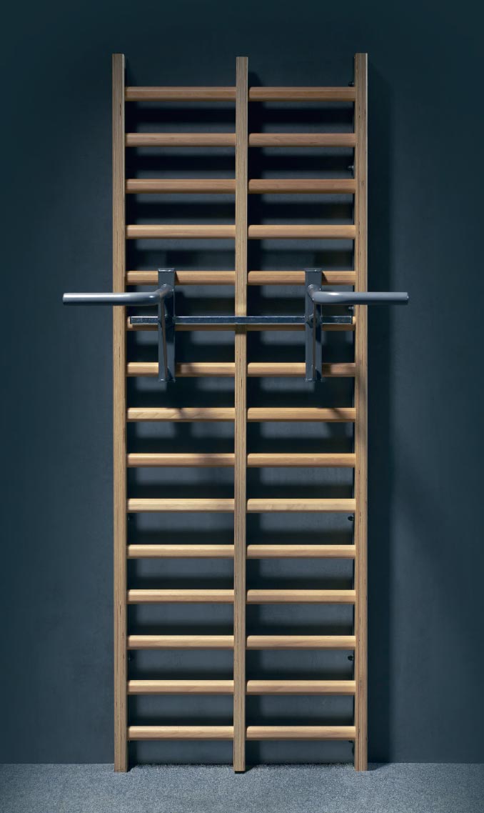 bodyweight-training-flexotaurus-sprossenwand
